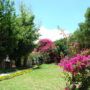 DSC00103